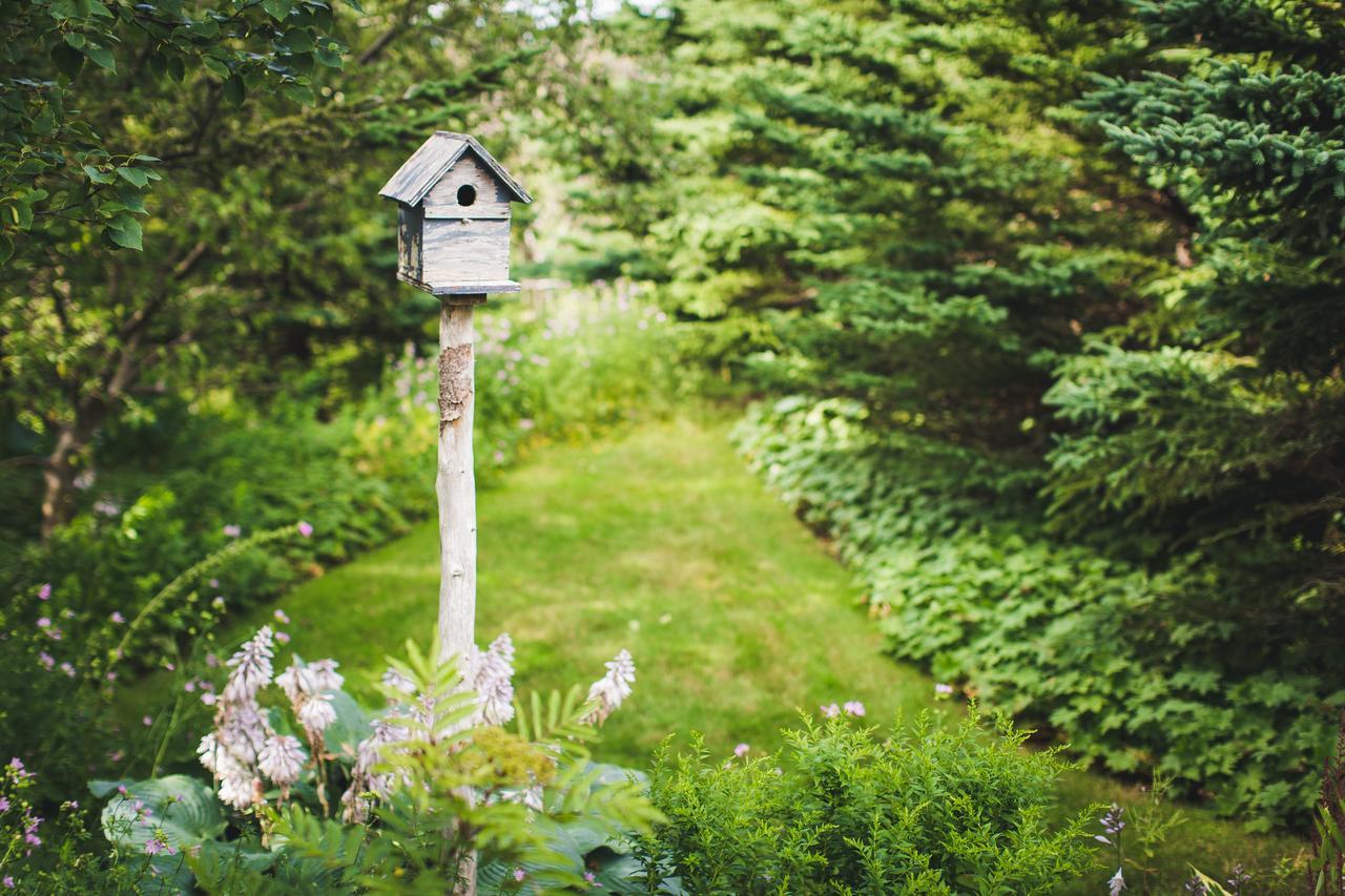 Abbie'S Garden Bed & Breakfast Grand Bank Exterior photo