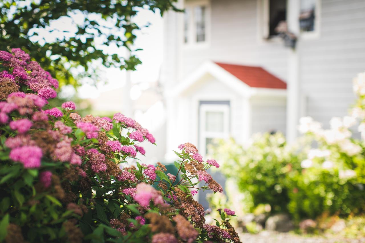 Abbie'S Garden Bed & Breakfast Bed & Breakfast Grand Bank Exterior photo